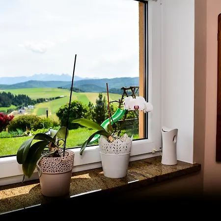 Na Wzgorzu Apartment Łapsze Niżne